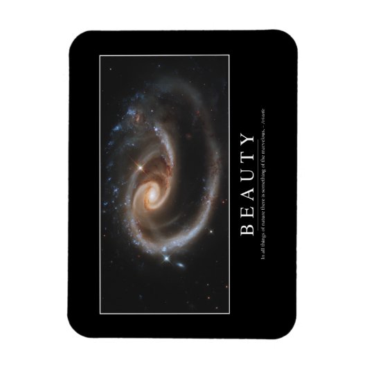 Schoonheid: Inspirerend prijsopgave 3 Magneet (Verticaal)