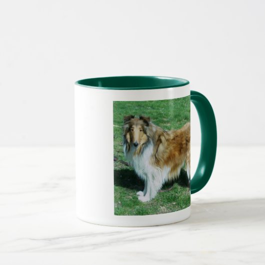 SCHOONHEID IS EEN RUWE COLLIE MOK (Voorkant rechts)