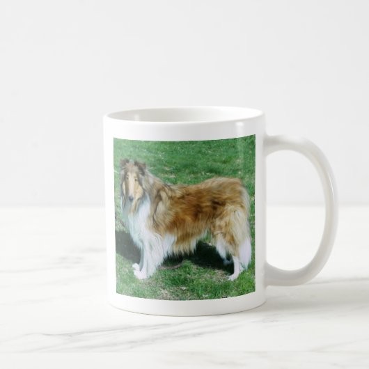 SCHOONHEID IS EEN RUWE COLLIE MOK (Rechts)