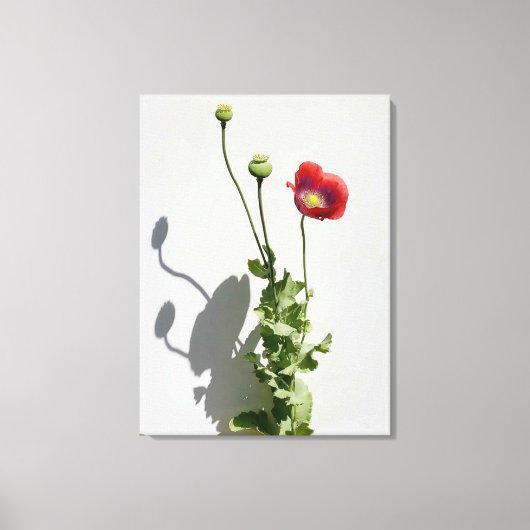 Schoonheid is ook het Beest. Canvas Afdruk (Voorkant)