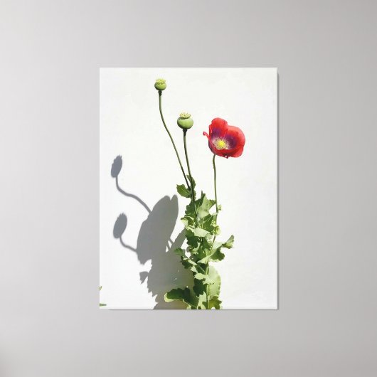 Schoonheid is ook het Beest. Canvas Afdruk (Voorkant)