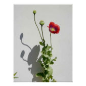 Schoonheid is ook het Beest. Perfect Poster (Voorkant)