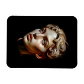 Schoonheid Magneet (Horizontaal)