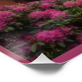 Schoonheid met donker haar perfect poster (Hoek)