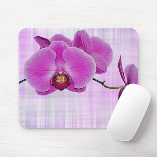 Schoonheid op betonplaat muismat (Met muis)