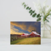 Schoonheid op het Briefkaart van het Boerderij (Staand voorkant)