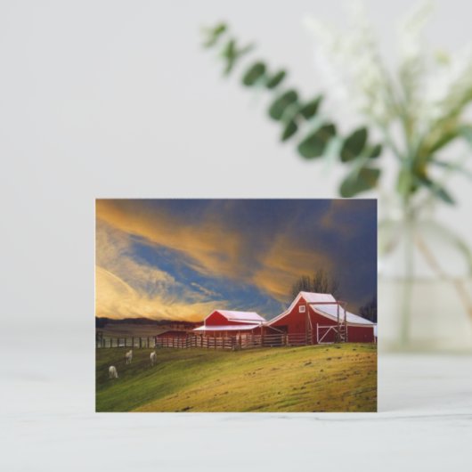 Schoonheid op het Briefkaart van het Boerderij (Staand voorkant)