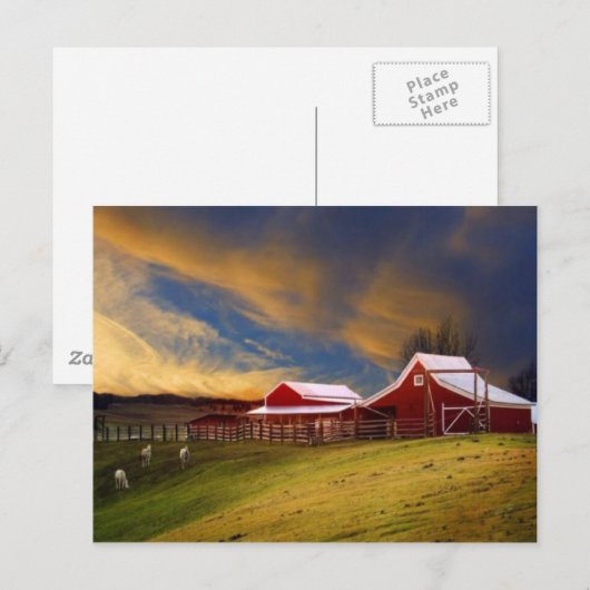 Schoonheid op het Briefkaart van het Boerderij (Voorkant / Achterkant)