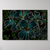 schoonheid poster (Voorkant)