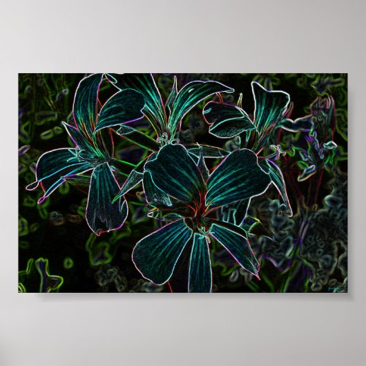 schoonheid poster (Voorkant)