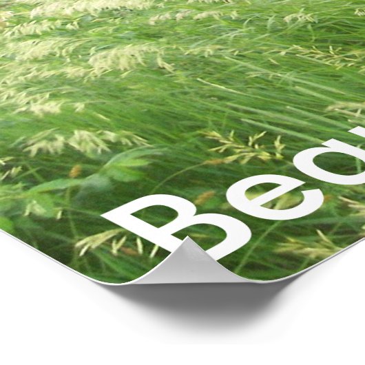 Schoonheid Poster (Hoek)