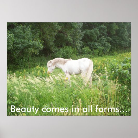 Schoonheid Poster (Voorkant)