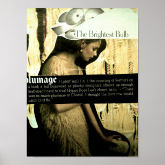  schoonheid poster
