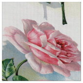 Schoonheid Roos Roze op grijze stof Gemiddelde Mot (Close Up)