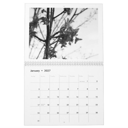 Schoonheid van de Natuur... de zwarte & witte edit Kalender (Jan 2027)