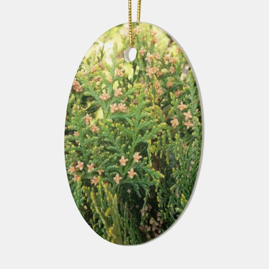 Schoonheid van de natuur: Juniper Tree Keramisch Ornament (Links)
