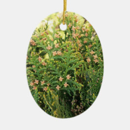 Schoonheid van de natuur: Juniper Tree Keramisch Ornament