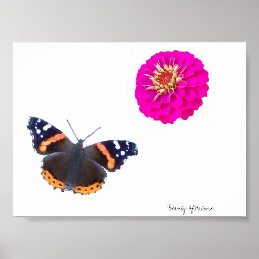 schoonheid van de Natuur Poster (Voorkant)
