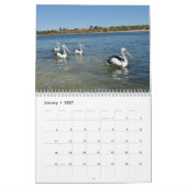 schoonheid van de pelikanen Australische 2019, Kalender (Jan 2027)