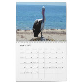 schoonheid van de pelikanen Australische 2019, Kalender (Mar 2027)