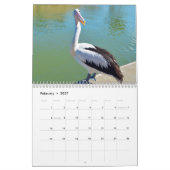 schoonheid van de pelikanen Australische 2019, Kalender (Feb 2027)