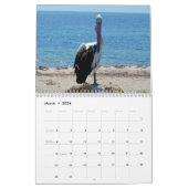 schoonheid van de pelikanen Australische 2019, Kalender (Mar 2026)