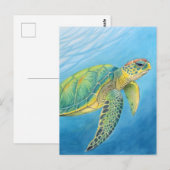 Schoonheid van de schildpad briefkaart (Voorkant / Achterkant)