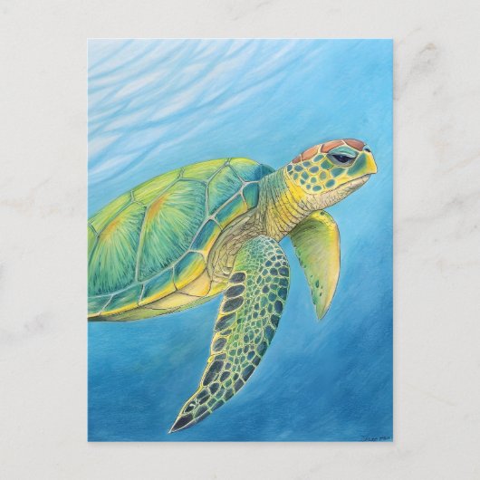 Schoonheid van de schildpad briefkaart (Voorkant)