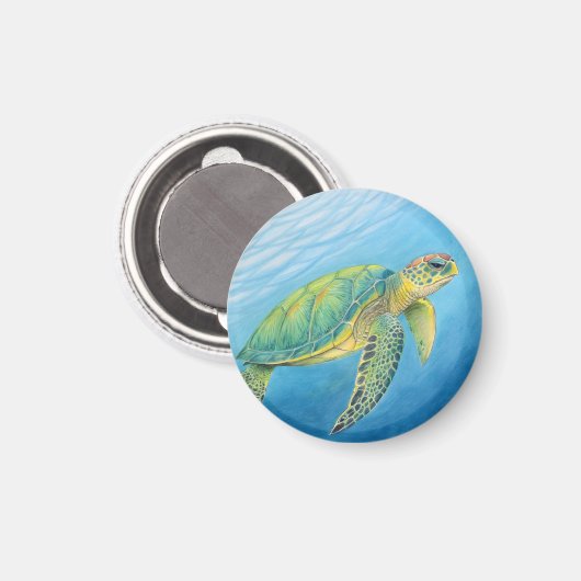 Schoonheid van de schildpad magneet (Voorkant / Achterkant)