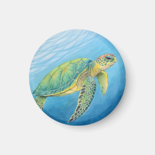Schoonheid van de schildpad magneet (Voorkant)