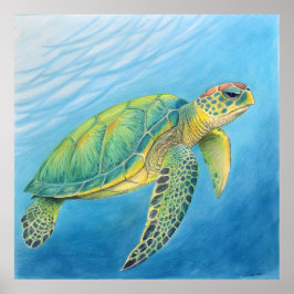 Schoonheid van de schildpad poster