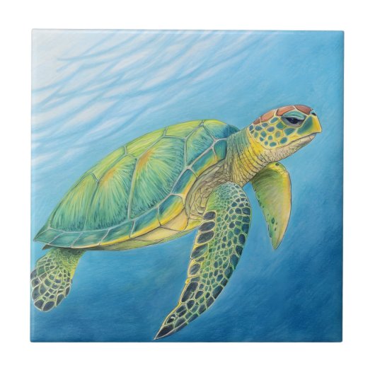 Schoonheid van de schildpad tegeltje (Voorkant)