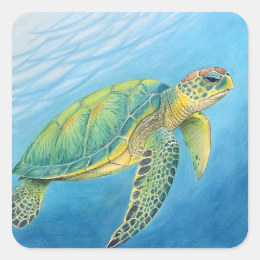 Schoonheid van de schildpad vierkante sticker (Voorkant)