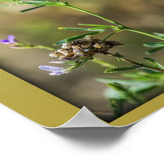 Schoonheid van de vlinders poster (Hoek)