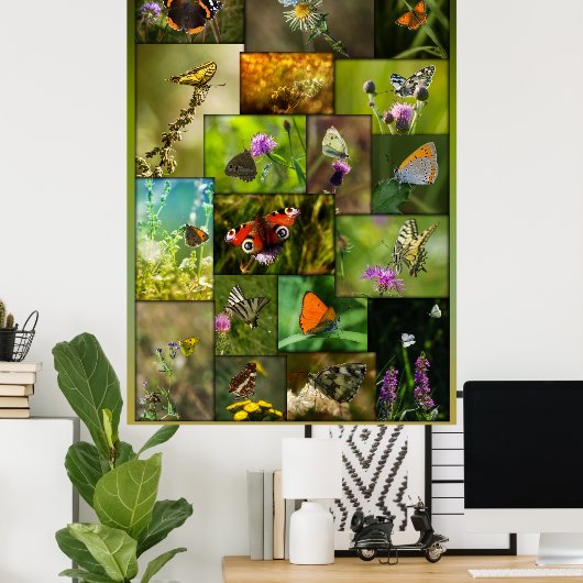 Schoonheid van de vlinders poster (Thuiskantoor)