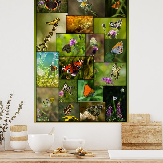 Schoonheid van de vlinders poster (Keuken)