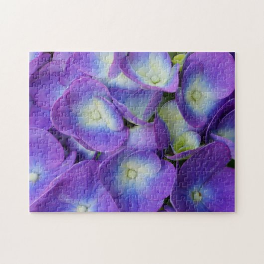 Schoonheid van een blauwe Hortensia Legpuzzel (Horizontaal)