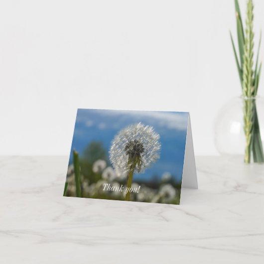 Schoonheid van een Dandelion Bedankkaart (Voorkant)