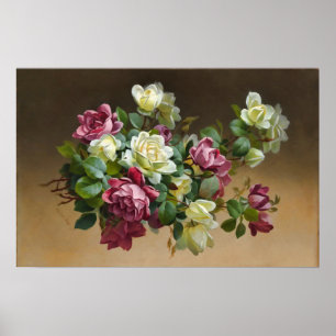 Schoonheid van het Poster van Rozen