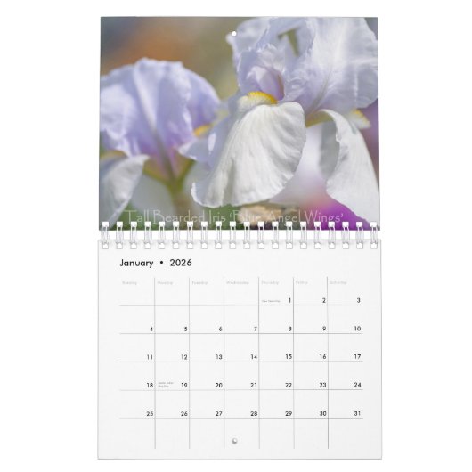 Schoonheid van Irises Kalender (Jan 2026)