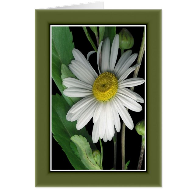 Schoonheid van Natuur r/c17 (Voorkant)