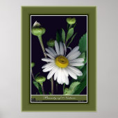 Schoonheid van Natuur r/p12 Poster (Voorkant)