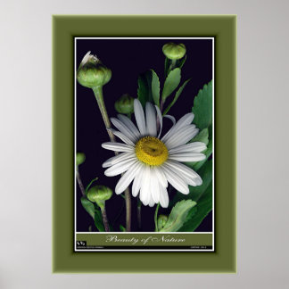 Schoonheid van Natuur r/p12 Poster