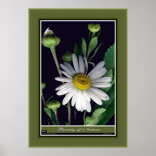 Schoonheid van Natuur r/p12 Poster (Voorkant)