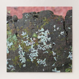 Schoonheid van Natuur Tree Stump Relaxing Self-Car Legpuzzel