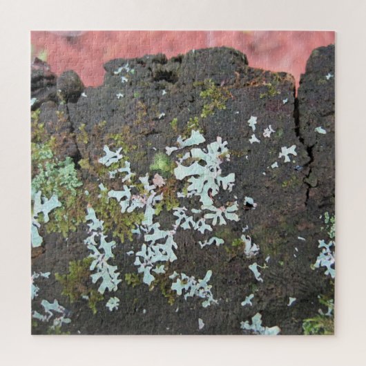 Schoonheid van Natuur Tree Stump Relaxing Self-Car Legpuzzel (Verticaal)