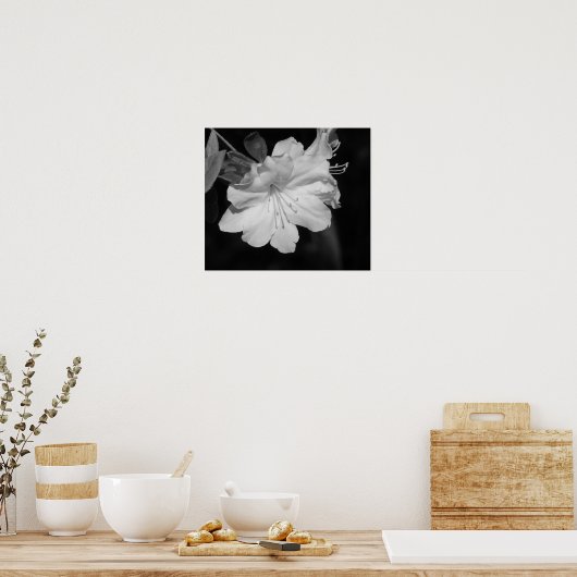 Schoonheid van voorjaar II Poster (Keuken)