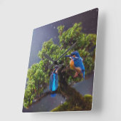 Schoonheid van wilde natuur- Kingfisher en Bonsai Vierkante Klok (Hoek)
