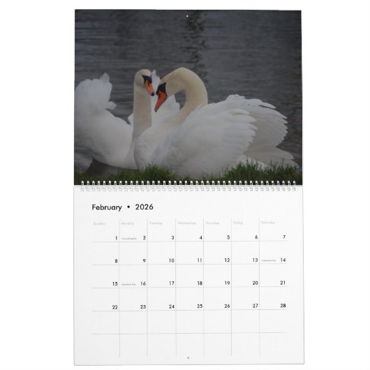 Schoonheid van zwanen kalender (Feb 2026)