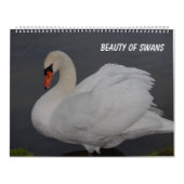 Schoonheid van zwanen kalender (Hoes)